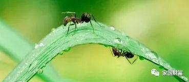 螞蟻集團 從金融科技到多元科技生態的演進與潛力